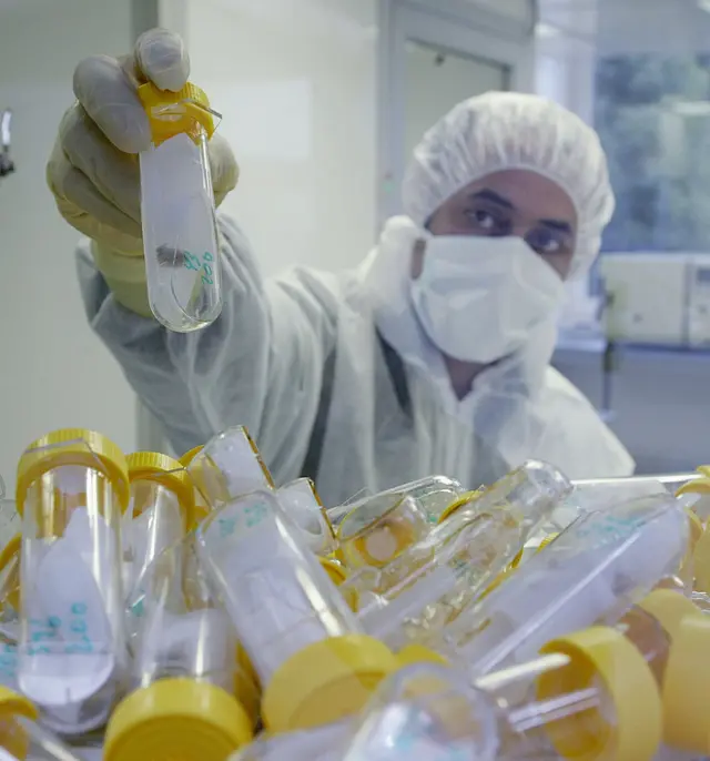 புழுக்கள் மருத்துவ அதிசயம் ஏன்?