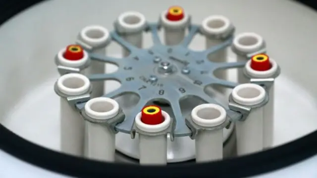 пробиркалар