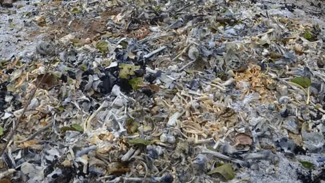 मुजफ्फरपुर