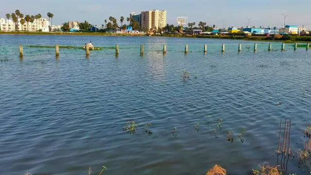 நீர்நிலைகள் ஆக்கிரமிப்பு