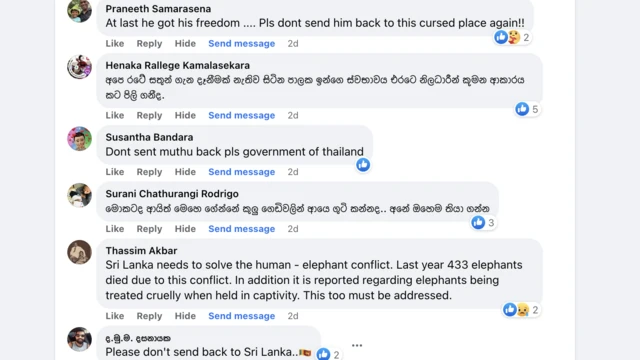 සමාජ මාධ්‍ය අදහස්