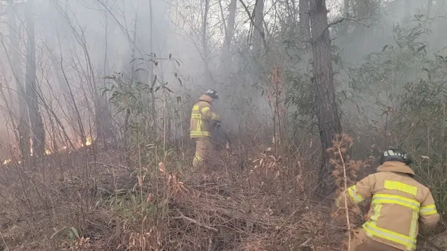 7일 강원 삼척 원덕읍 사곡리 산불 진화작전 펼치고 있는 소방관
