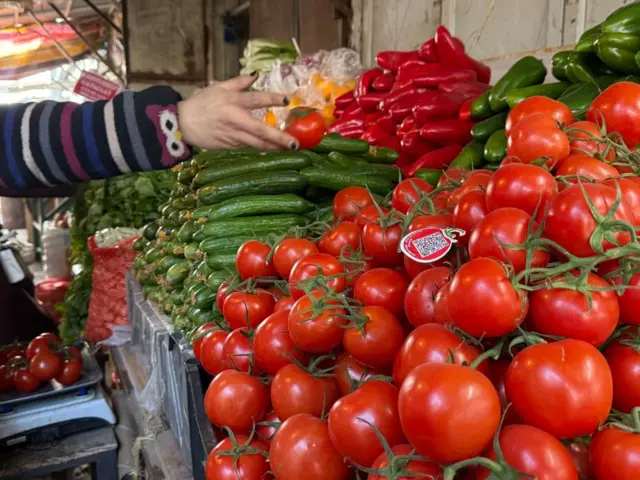 Pomidor va bodring rastasi.