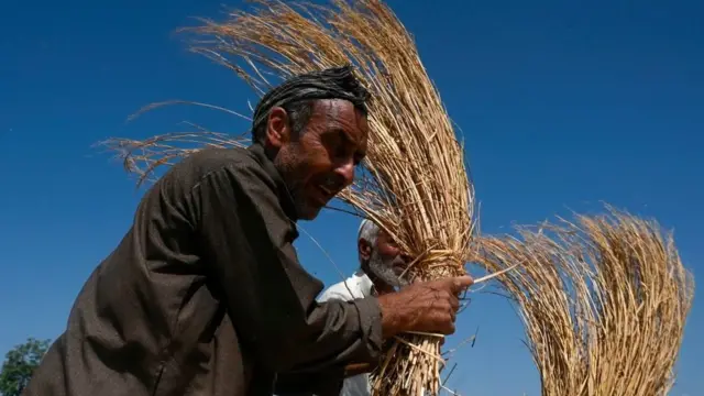 వ్యవసాయ బిల్లులు