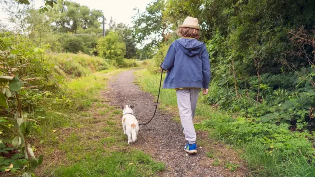 Человек гуляет с собакой