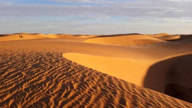 Днем температура воздуха в Сахаре поднимается выше сорока (фото Аластера Гилла)