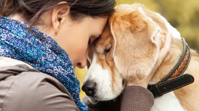 Mulher com cachorro