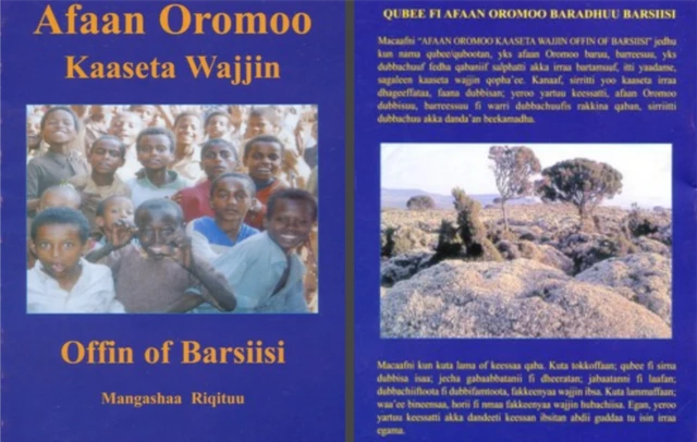Kitaaba barnoota Afaan Oromoo Obbo Mangashaa Riqituun bara 2002 ALA barreefame.