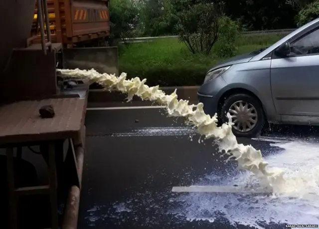 स्वाभिमानी शेतकरी संघटनेचे कार्यकर्ते रस्त्यांवर दूध सोडून आंदोलन करताना