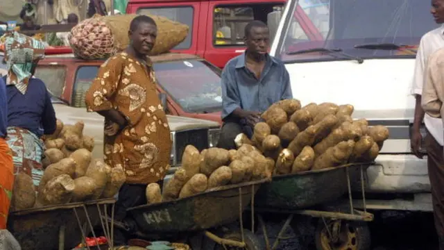 Men wey dey use wheelbarrow sell yam