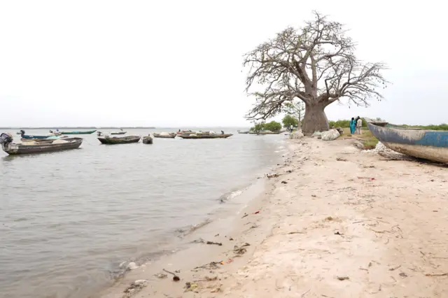 La berge du fleuve Casamance