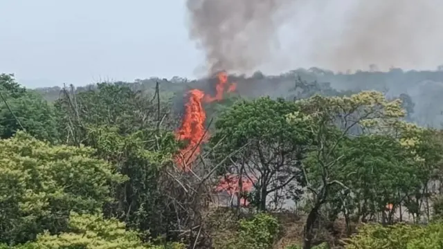 భారతదేశం, తమిళనాడు, వాతావరణం, అడవులు, పర్యావరణం