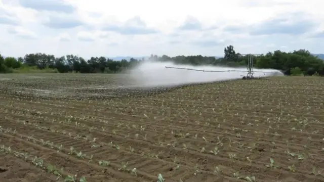 organska poljoprivreda, Srbija, zemlja, hrana