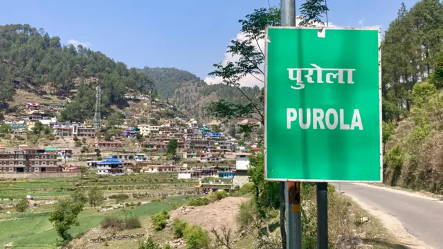 नजरेत न येणारं शांत पुरोला गावं, गेल्या वर्षी मे महिन्यात एकाएकी राष्ट्रीय बातम्यांमध्ये झळकलं.