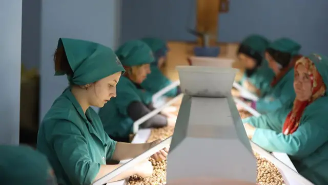 Fabrikada fındık ayıklayan işçiler