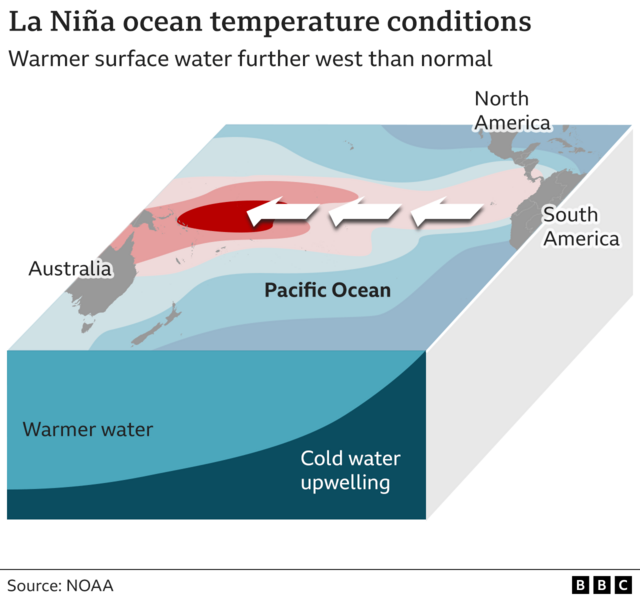 Infographic showing how in La Niña conditions, warmer ocean surface water tends to be further west than usual, on an area of the Pacific ocean stretching from Australia and Papua New Guinea to the west coast of South and Central America. 