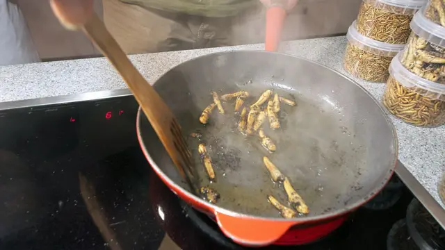 வெட்டுக்கிளிகள் உண்மையில் மாட்டிறைச்சிக்கு மாற்றாக முடியுமா?