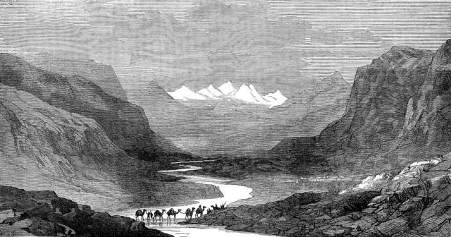 तुग़लक़ 