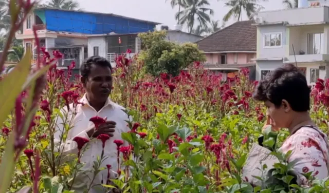 పూల సాగు