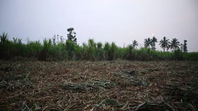 కామారెడ్డి 