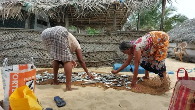 ඇන්ටනි මුලින්ම පෙන්වුයේ විජය කුමාරයා ලංකාවට ගොඩ බසින ලදැයි කියන ස්ථානයයි." අර දුරින් පෙන්නේ එතනට තමයි විජය කුමාරයා ගොඩ බැහැලා තියෙන්නේ.එතන තාමත් තියෙන්නේ රතු පස තමයි. ඊට මෙහායින් තියෙන්නේ පුක්කුලම , පලුගහතුරේ කියන ගම්මාන.