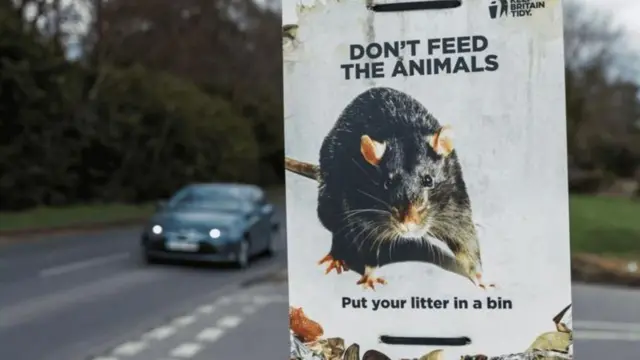 ప్రతీకాత్మక చిత్రం