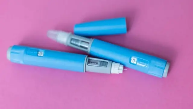 Canetas emagrecedoras