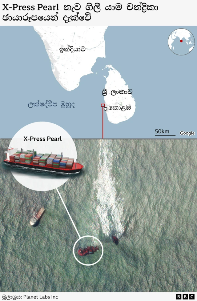 එම ව්‍යසනයෙන් පසු කැස්බෑවුන්, ඩොල්ෆින්, තල්මසුන් ඇතුළු මියගිය මුහුදු ජීවින් රැසක් ශ්‍රී ලංකා වෙරළට ගොඩගැසූ අතර, තෙල් විසිරීමක් සහ වෙරළ දූෂණය වීම දක්නට ලැබිණි.