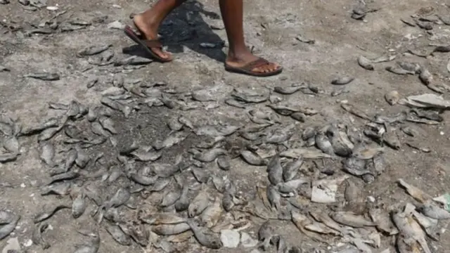 தண்ணீர்