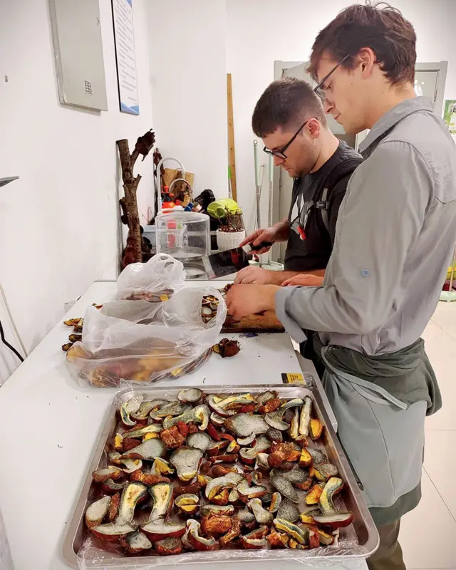 Dos hombres, uno de ellos Domnauer, en una cocina preparan y cortan hongos frescos sobre una mesa con una bandeja llena de hongos rebanados.