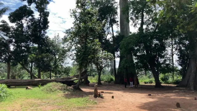 Amaknma, Abia State. Wooden Cave