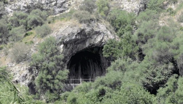 பரிணாம வளர்ச்சியில் நவீன மனிதர்களை தனித்துவமிக்கவர்களாக மாற்றுவது எது?