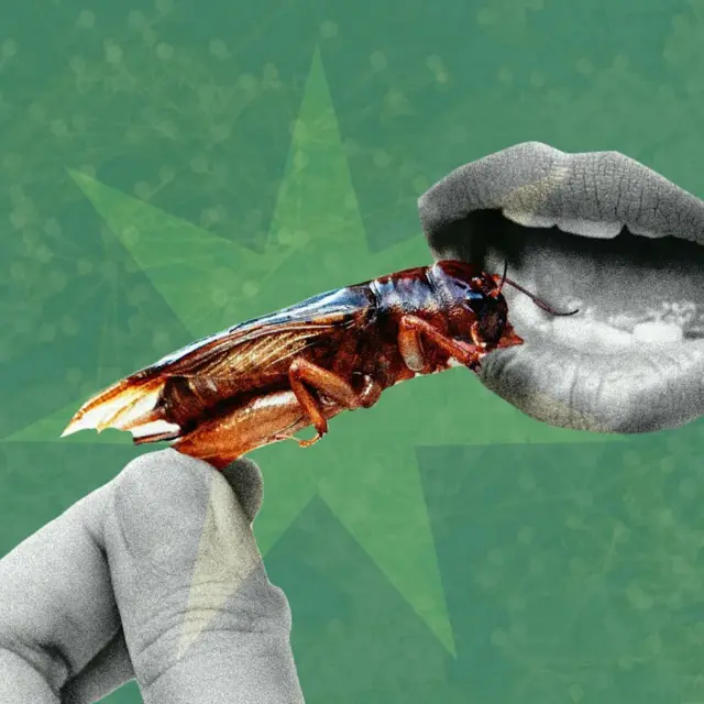 илустрација рука која ставља бубу у уста