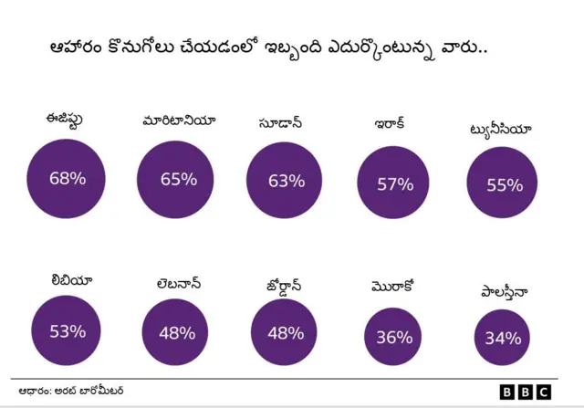 అరబ్ దేశాలు