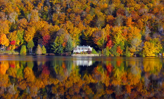 "Оттенки осени"