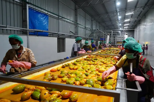 தோத்தாபுரி மாம்பழங்கள், இரான் - இஸ்ரேல் மோதல் 