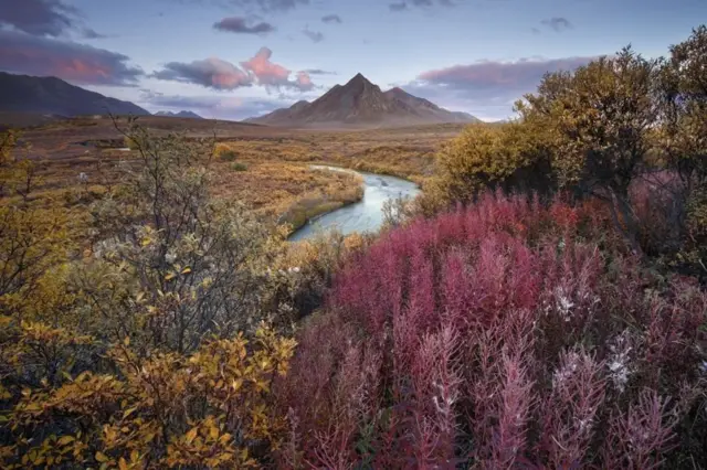 કૅનેડાના એક પાર્કની તસવીર