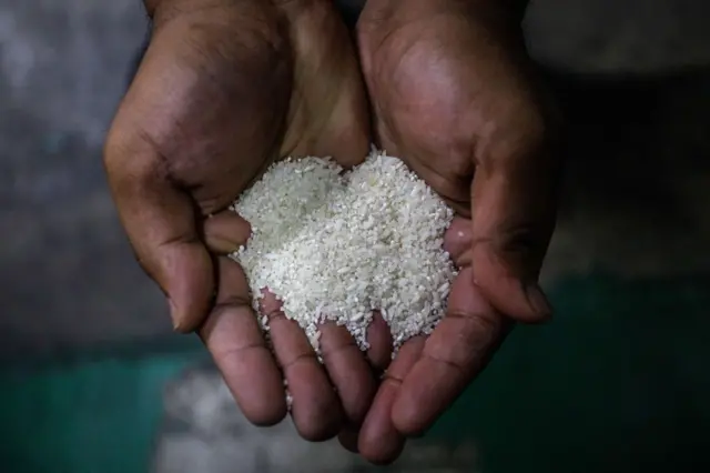 બીબીસી ગુજરાતી ભારત અમેરિકા બાસમતી ચોખા ડોનાલ્ડ ટ્રમ્પ નિકાસ