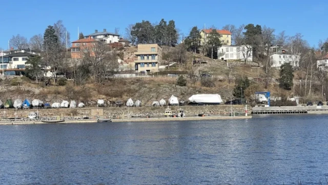 لڈنگو جزیرہ