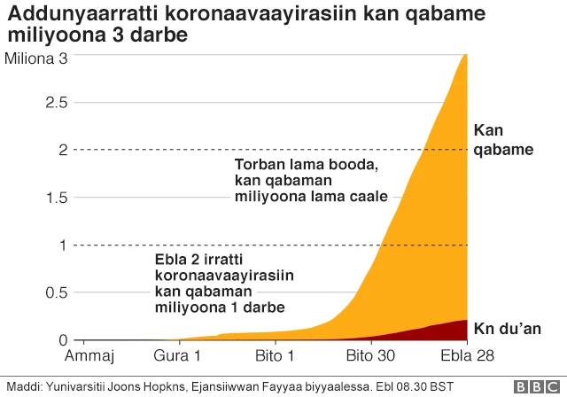 Koronaavaayirasiin namoota biliyoona tokko ni qaba
