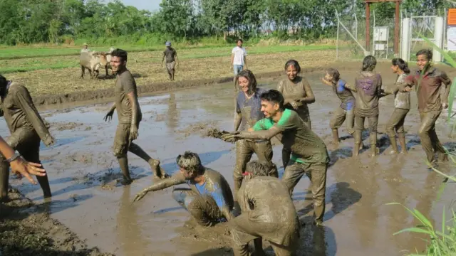 धानखेती