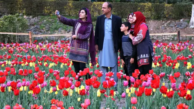 باغ یکجہتی کشمیر گل لالہ