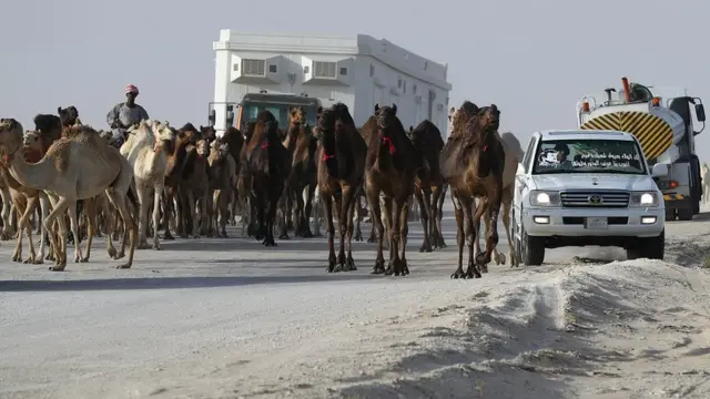 सऊदी अरब, क़तर