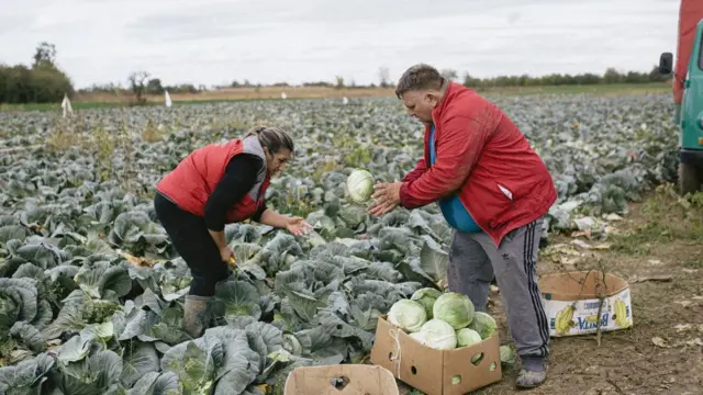 Deluje kao uigrana akcija sa košarkaških terena