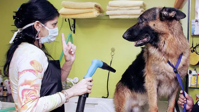 મહિલાની તસવીર