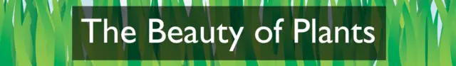 Section heading: The Beauty of Plants