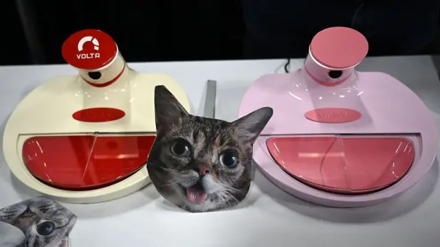 Устройство для кормления кошек