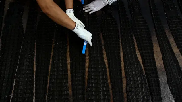 مزرعه پرورش تمساح