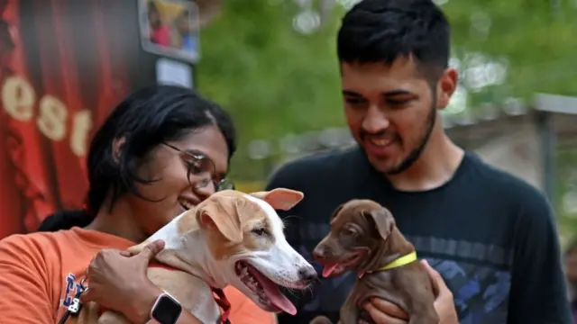 ఇంటర్నేషనల్ డాగ్ డే