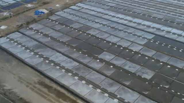 உப்பளம்